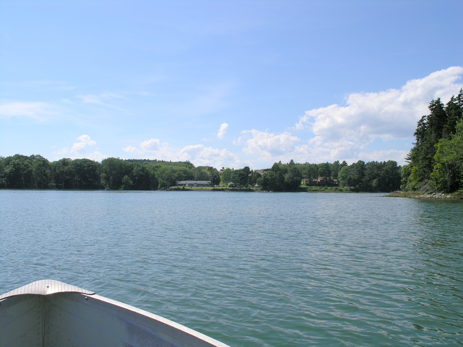 Visual Impact Assessment Pepperchrome